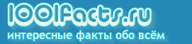 Интересные новости и факты