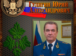 Гулягин Юрий Александрович