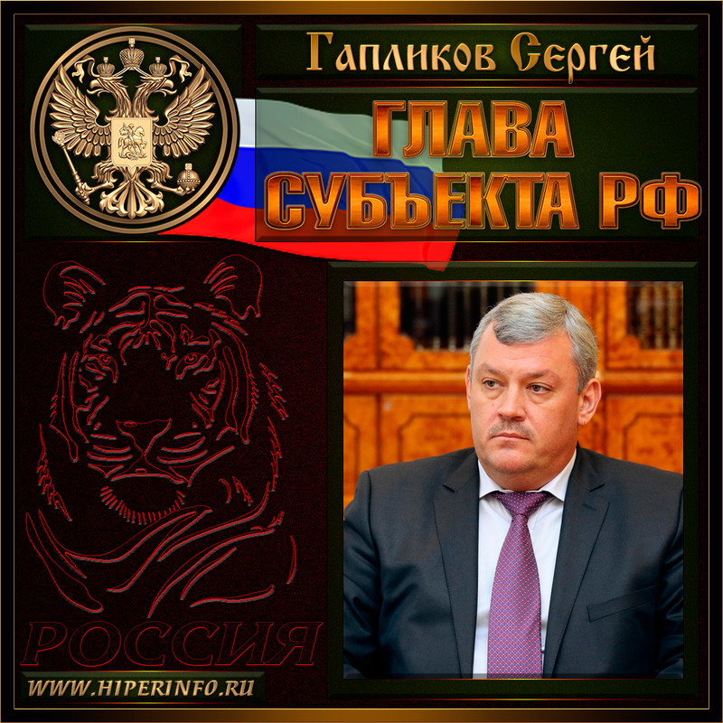 Гапликов Сергей Анатольевич