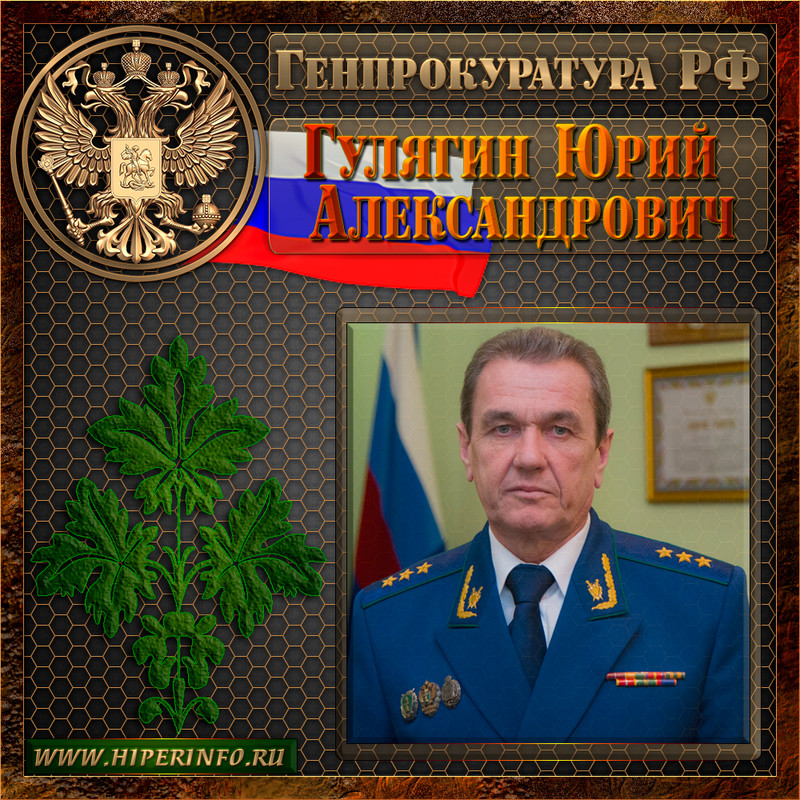 Гулягин Юрий Александрович