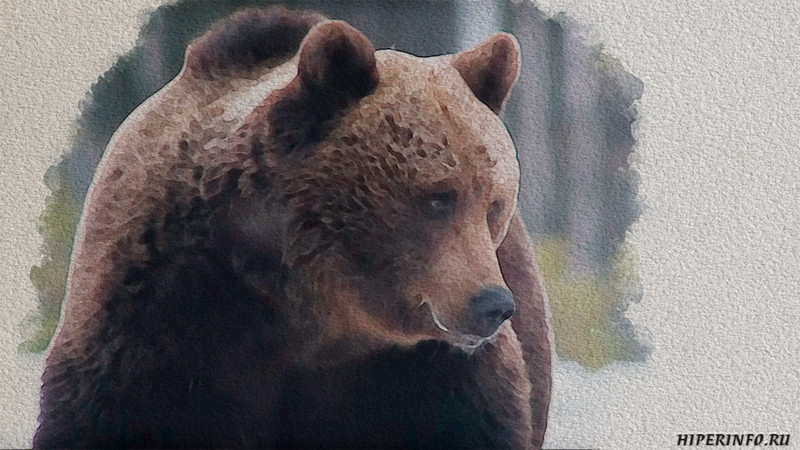 Выхожу один я на дорогу
