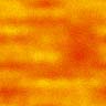 orang004