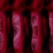 red052