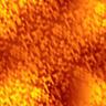 orang003