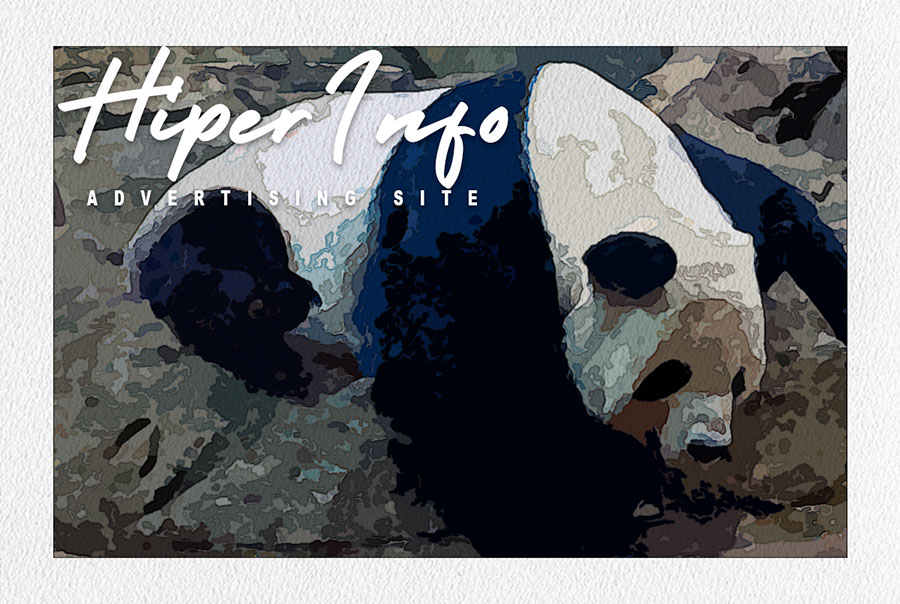 Верхняя часть сайта для порталов